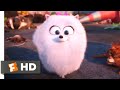 The Secret Life of Pets - Gidget Kicks Butt! Scene | Fandango Family