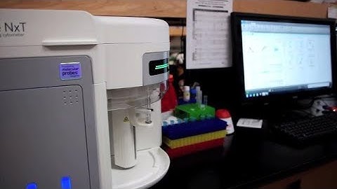 How easy is it to switch between plates and tubes on the Attune NxT?