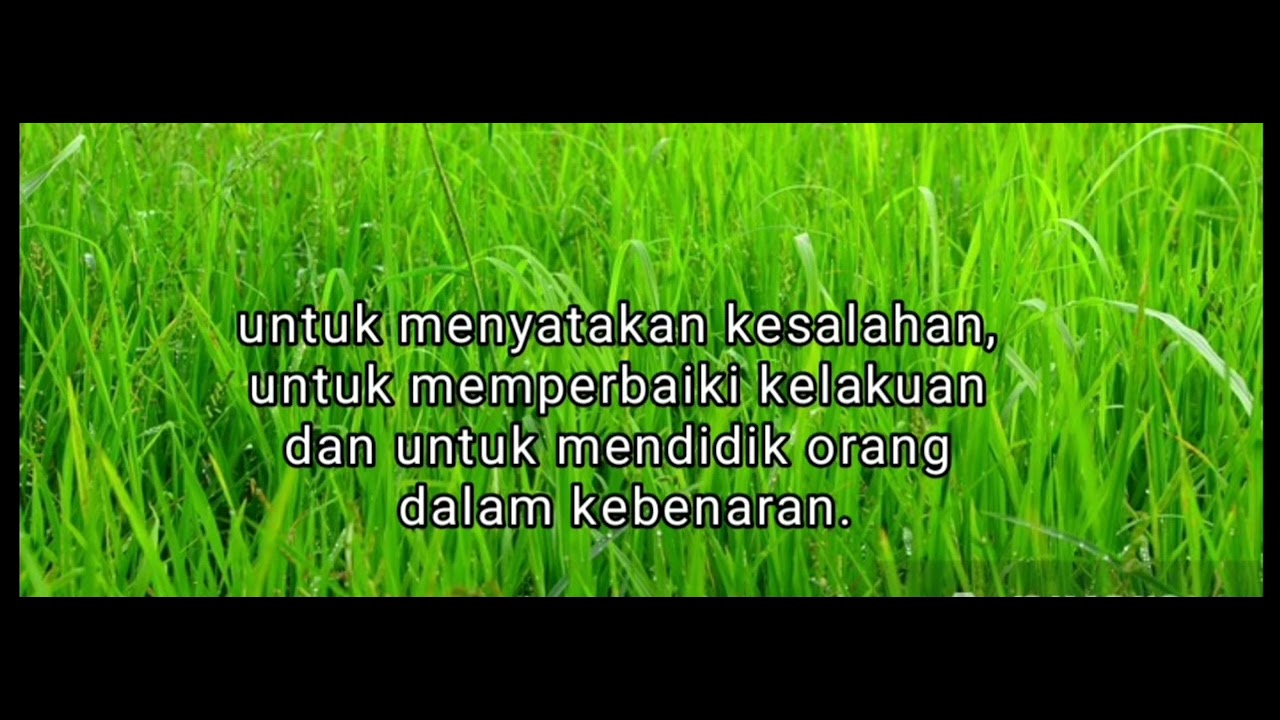 lektor-16-oktober-2022-bacaan-2-2-timotius-3-14-4-2-youtube