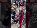 Qasa oo hilibka qubada laga cunayo gaajo aawadeed.