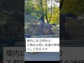 金剱宮【日本3大金運スポットの一つ】石川県 #shorts #金運 スポット #金剱宮 #石川県