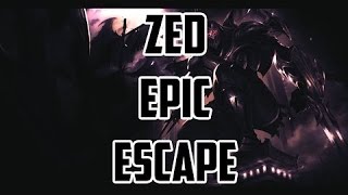 ZED SHADOW JUKE