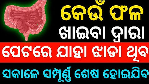 Odia Gk 2025 | Algemene kennis Odia | Gk in Odia | Odia Gk MCQ | Online Gk | Gk vraag | GK