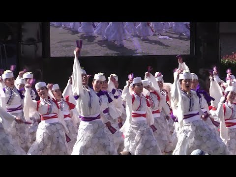 Yosakoi Festival  「天空しなと屋しん」 第15回湘南よさこい祭り
