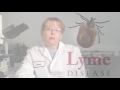 Lyme disease research  dr rath research institute  anna goc p.