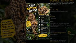 Diese Katze kannte die Wissenschaft bis jetzt NICHT! 😳🐾