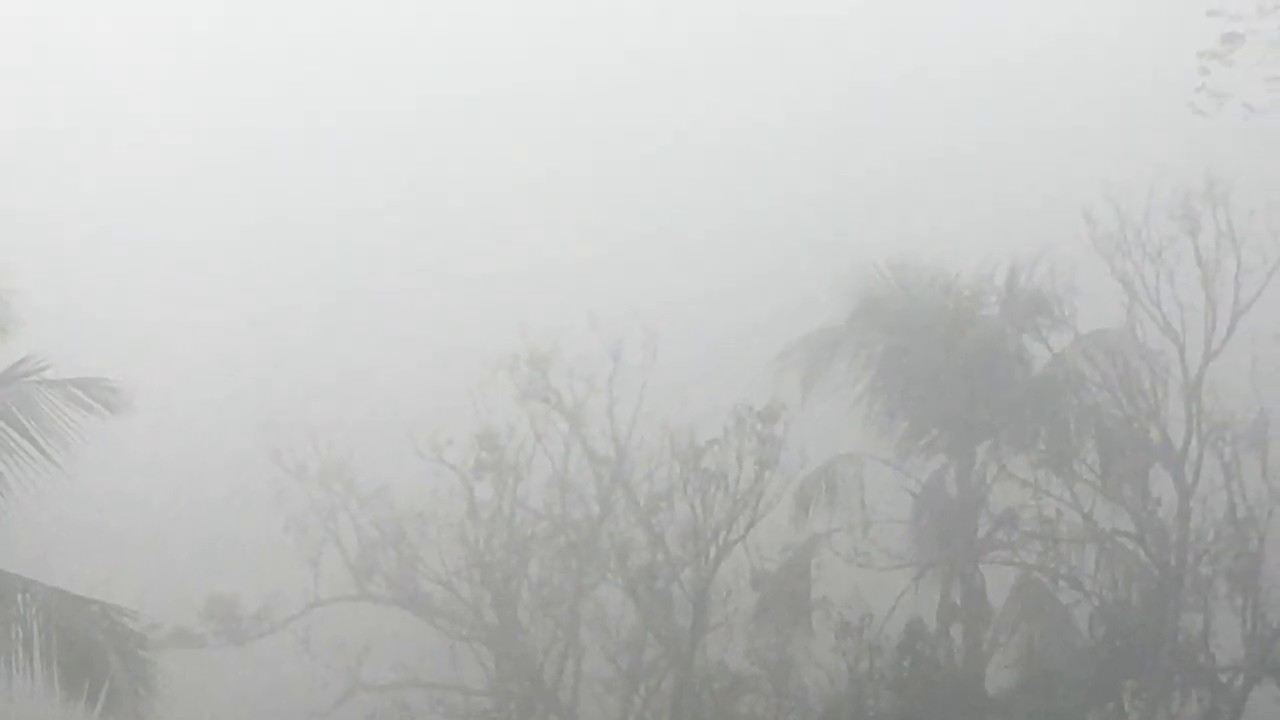 Beautiful Bangladesh Fog in the spring! Refresh you mind in only 47 seconds! YouTube