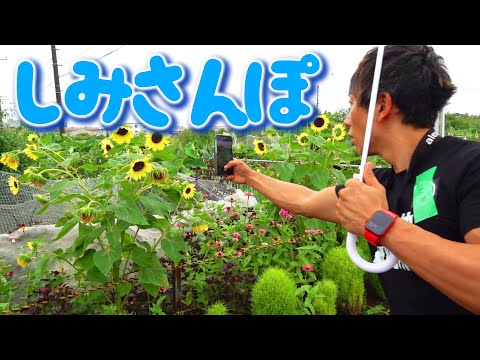 【しみさんぽ】しみけんと おはな をさがしてみよう！