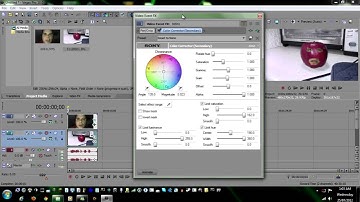 Sony Vegas Pro Tutorial - The Annoying Orange Effect