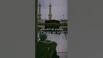 ال ذ ين ي ذ ك ر ون الل ه ق ي ام ا و ق ع ود ا سورة آل عمران محمد المنشاوي 
