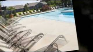 Dunwoody Station Apartments, Atlanta GA 866-979-5110