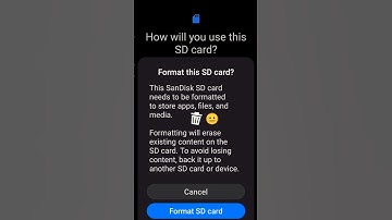 Memory Card Format Problem 😐