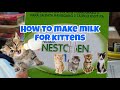 HOW TO MAKE MILK FOR KITTENS