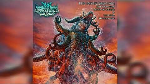 Own Omnipresence - Incinerating Beliefs (Instrumental)