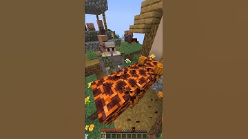 This Iron golem is not letting me summon magma golem 💀 #shorts #minecraft #viral