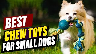 Top 5 Best Chew Toys For Small Dogs in 2026 (Tested & Approved!) 🐾