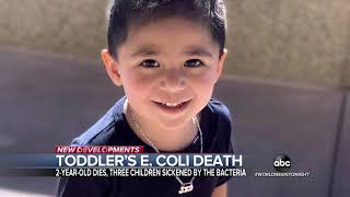 ABC World News Tonight 20190630 1800