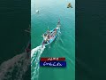 Pakistan’s Seafood Exports Reach Record High!