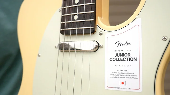 Have You Ever Seen a Short-Scale Tele? (24") | Fen...