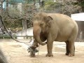 持参した道具を使うズゼさん⑤
