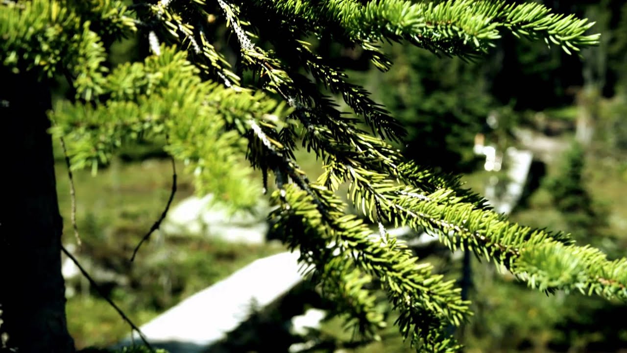 5000 Vertical Feet with the Demo 8