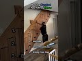 Ranking Funniest Paul Olima Videos