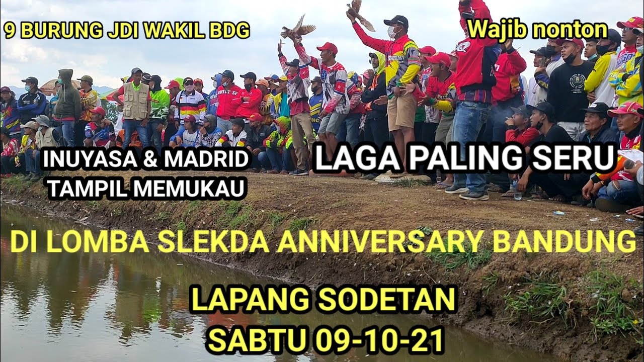 LOMBA SLEKDA BANDUNG UTAMA JR LANJUTAN KEMAREN YG LOLOS 33 BURUNG