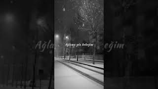 Ahmet Kaya Dışarda Kar Yağıyor