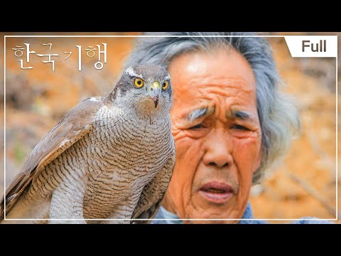 [<strong>Full</strong>] 한국기행 - 전설의 한 끼 - 제1부 장수 왕 영조 밥상의 <strong>비밀</strong>