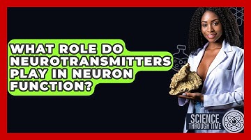 What Role Do Neurotransmitters Play In Neuron Function? - Science Through Time