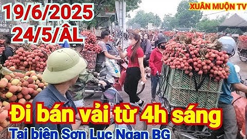 Cập nhật giá vải hôm nay 19/6/2025bà co đi bán vải từ 4h sáng tại biên Sơn Lục Ngạn BG