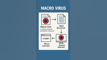 Macro Virus Explained: What is it & How it Works (Visual Guide)