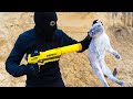 NERF vs CAT. ЖАЛКО кота...ЗЛОБНЫЙ бандит!!!