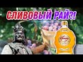 Бренди или наливка?! Недорогой, чешский, вкусный!! Обзор сливовицы Rudolf Jelinek Bohemia Honey!