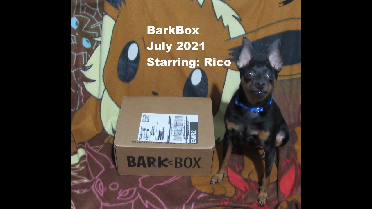 BarkBox: July 2021