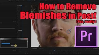 How to Remove Blemishes/Pimples in Premiere (really)  Tip Tuesday: Episode #027