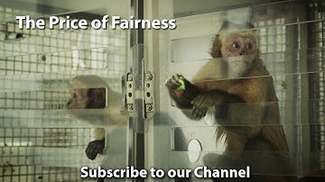 The Price of Fairness - What is Fairness and Equality? (documentary)