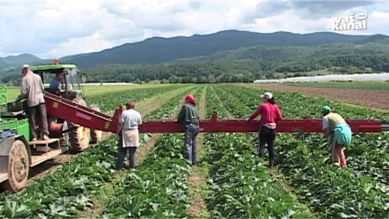 Kmetijski razgledi, 7. marec 2014