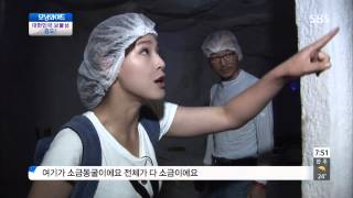 토요특집 모닝와이드 130824 #5(2)
