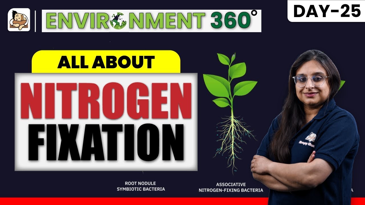 All About Nitrogen Fixation And Nitrogen Fixers UPSC CSE Prelims All about nitrogen fixation and nitrogen fixers upsc cse prelims