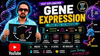 Gene Expression | Easy Explanation | Step-by-Step Biology Lecture
