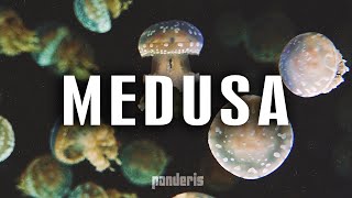 Medusa by Nicolas Panderis ( Chill Deep House Inspirational Lounge Music )
