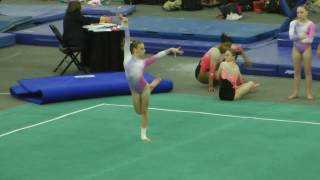 Olivia Greaves - Floor - 2017 Level 10 Regionals - Region 7