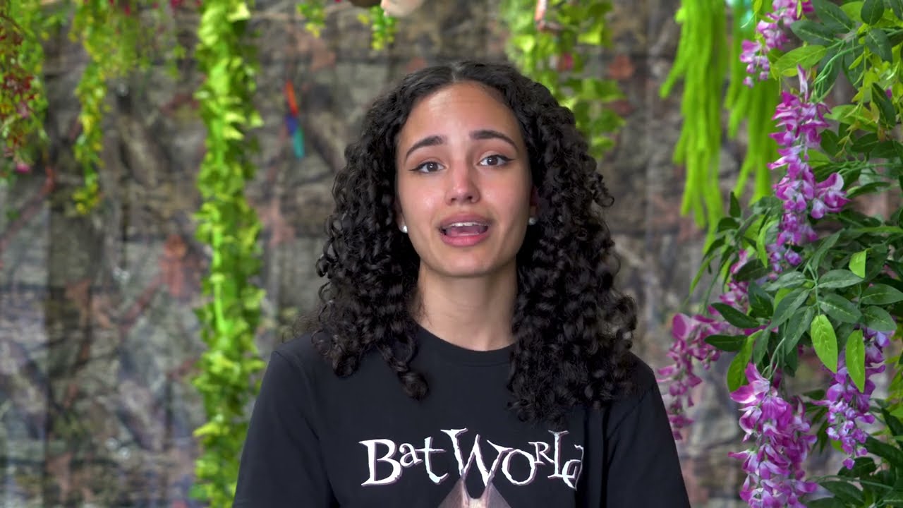 Bats in the Pet Trade