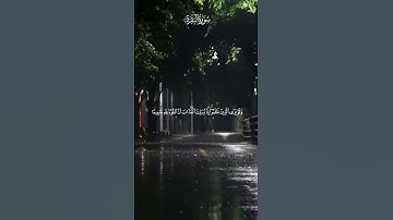 سورة البقرة || الآية {165}
