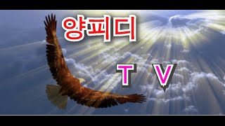 향단이네보물창고#온세상만물 #유럽엔틱 #고도자기# 고미술품#양피디 TV 온라인실시간골동품경매중계