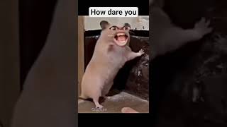 how dare you😂  #funny #comedy #youtubeshorts #viralshorts #rate  #Facebookshorts