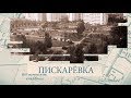 Пискаревка / «Малые родины большого Петербурга»