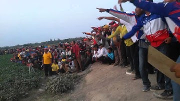 Final Lomba Utama Merpati Balap Sesi 1 Banyuwangi 2015