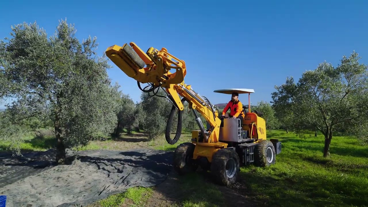 Spil - Tanıtım Filmi